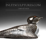 13" Curious Loon by Jimmy Iqaluq