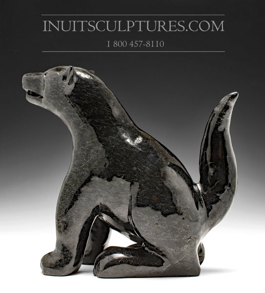 12" Dog by Kellyapik Etidloie