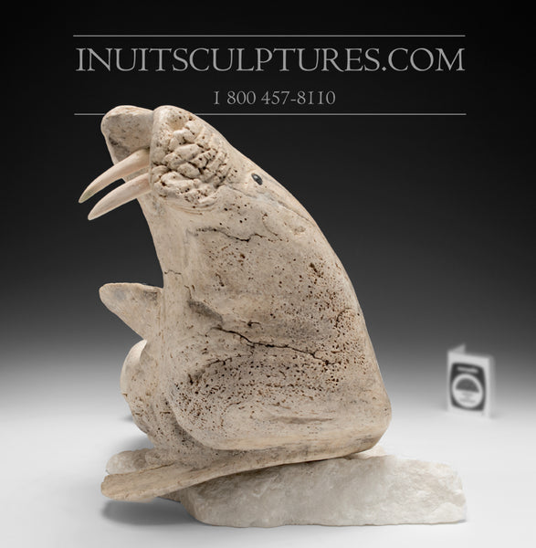 14" Walrus in Baleen by World Famous Manasie Akpaliapik