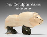 7" Muskox by Davidee Qimirpik Parr *Four Wheel Drive*