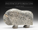 14" Enchanting Muskox by Simeonie Killiktee