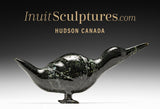 10" Crouching Goose by Ning Ashoona *Goose Down*