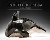 10" Orca Whale by Kelly Etidloie