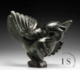 14"  SIGNATURE Dancing Bird by Toonoo Sharky *Glee*