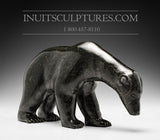 11" Dark Prowling Walking Bear by Noah Siusanginark